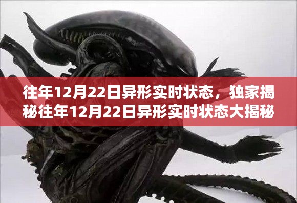 獨(dú)家揭秘，往年12月22日異形實(shí)時(shí)狀態(tài)揭秘，驚人細(xì)節(jié)曝光！