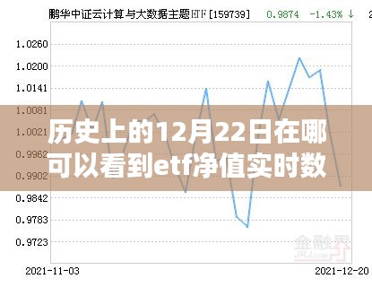 揭秘歷史時刻，在小紅書追蹤ETF凈值實時數(shù)據(jù)，了解市場動態(tài)！