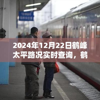 鶴峰太平路況實時查詢指南，2024年12月22日出行必備路況信息