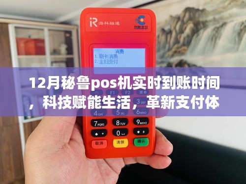 揭秘十二月秘魯POS機(jī)實時到賬科技，革新支付體驗，啟程神奇之旅