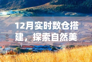 寧靜冬日里的探索之旅，實時數(shù)倉搭建與心靈的自然美景之旅