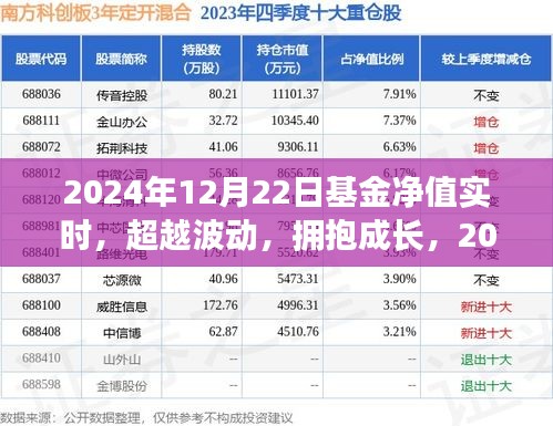 揭秘基金凈值背后的故事，超越波動，擁抱成長，探尋2024年12月22日基金凈值實時動態(tài)