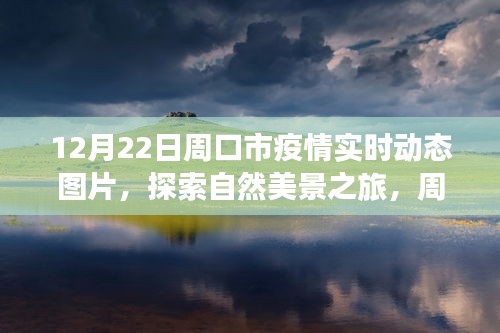 2024年12月26日 第3頁