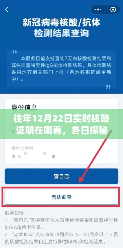 冬日探秘，尋找往年12月22日核酸證明的小故事與實時查詢攻略