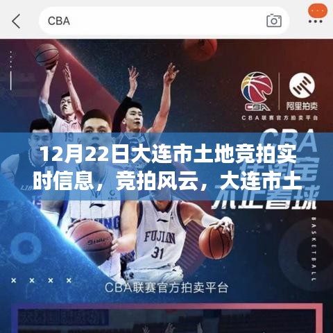 大連市土地競(jìng)拍風(fēng)云，實(shí)時(shí)信息揭秘溫暖日常