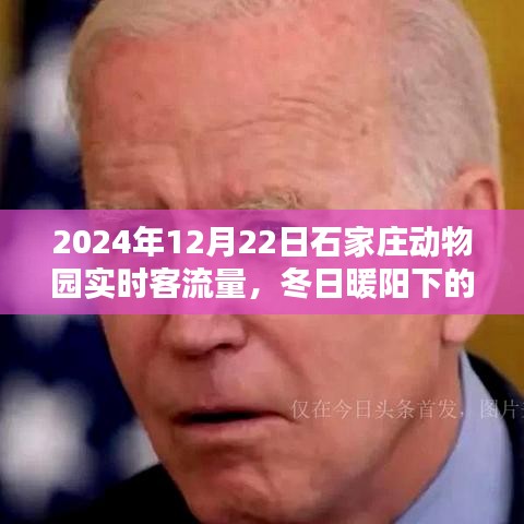 2024年12月27日 第19頁(yè)