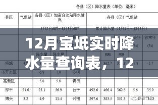 12月寶坻實(shí)時(shí)降水量查詢表，氣象數(shù)據(jù)與天氣分析概覽