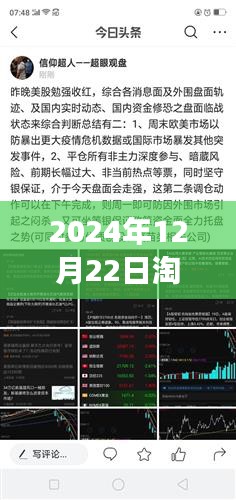 淘金客的自然之旅，尋找內(nèi)心的寧?kù)o與自然的魔法——實(shí)時(shí)解盤(pán) 2024年12月22日