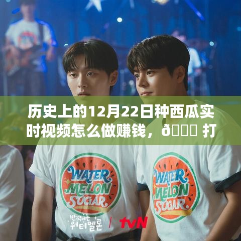 歷史上的12月22日種西瓜實時視頻，打破時空界限的種植賺錢新體驗！