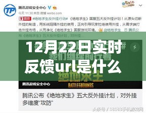 揭秘，12月22日實時反饋URL的含義與成就感的源泉