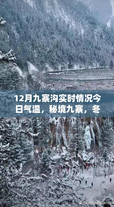 秘境九寨冬日探秘，今日氣溫與十二月九寨溝實(shí)時(shí)情況揭秘