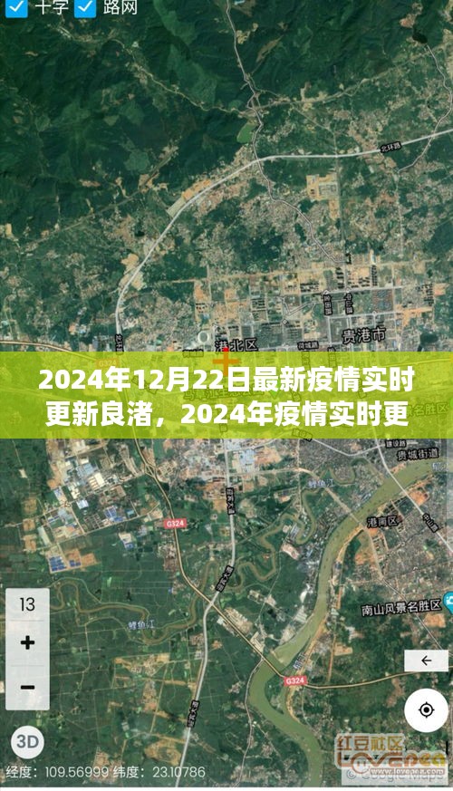 2024年12月27日 第11頁