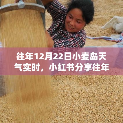 小紅書(shū)分享，往年12月22日小麥島天氣實(shí)時(shí)記錄與體驗(yàn)報(bào)告