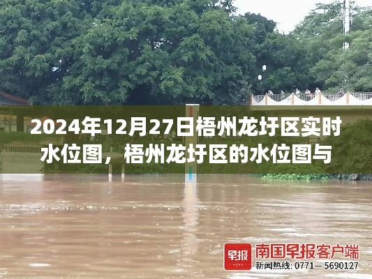 梧州龍圩區(qū)水位實(shí)時(shí)圖，溫情故事與水位的交織