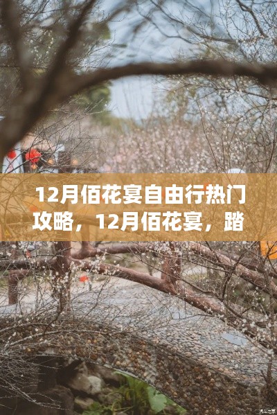 12月佰花宴踏雪尋梅之旅，熱門(mén)自由行攻略，赴一場(chǎng)心靈盛宴