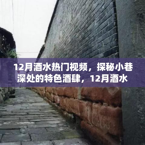 探秘小巷深處的特色酒肆，獨(dú)家揭秘十二月酒水熱門視頻