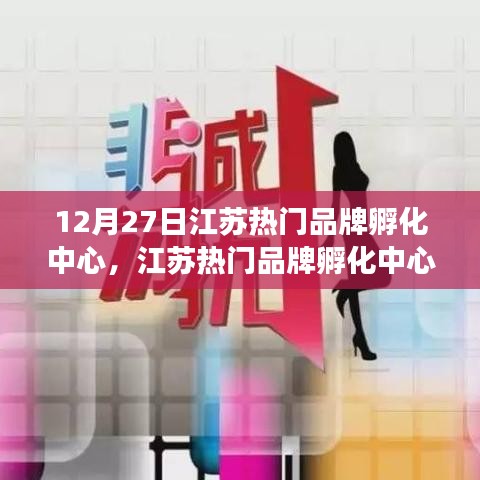 江蘇熱門品牌孵化中心，雙刃劍效應(yīng)的深度剖析