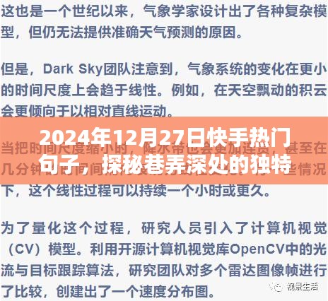 探秘巷弄深處的獨(dú)特風(fēng)味，快手熱門(mén)句子揭示的隱藏寶藏小店（2024年12月27日）