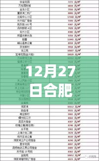 合肥熱門音樂報價表背后的自然之旅，尋找心靈的寧靜與和諧在12月27日