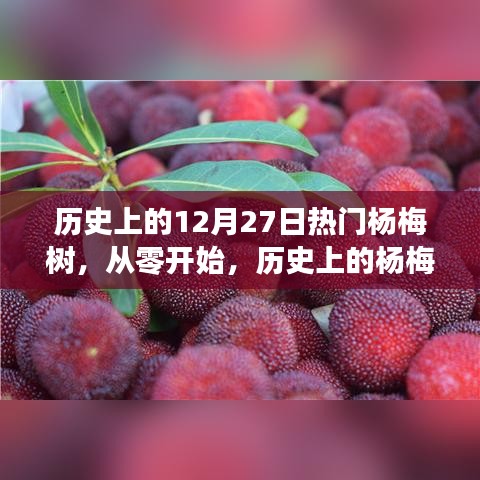 2024年12月28日