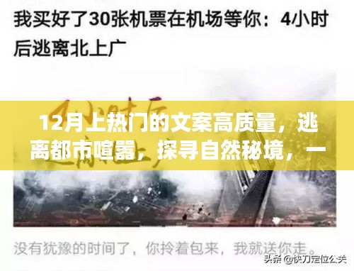 探尋自然秘境，心靈之旅，逃離都市喧囂的十二月熱門文案