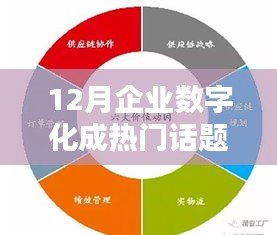 熱門話題聚焦，企業(yè)數(shù)字化全面評(píng)測(cè)與介紹