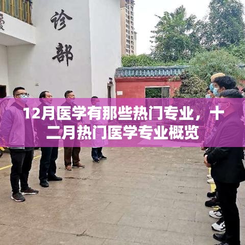 十二月熱門醫(yī)學(xué)專業(yè)概覽，探索醫(yī)學(xué)領(lǐng)域的熱門專業(yè)方向