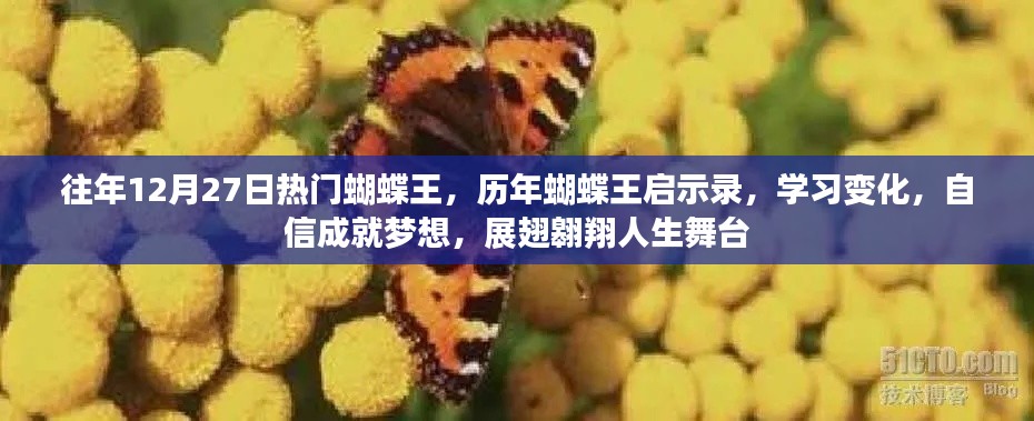 2024年12月 第14頁