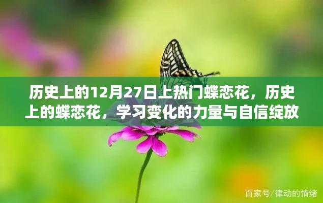 歷史上的蝶戀花，綻放旋律與變化力量的自信篇章