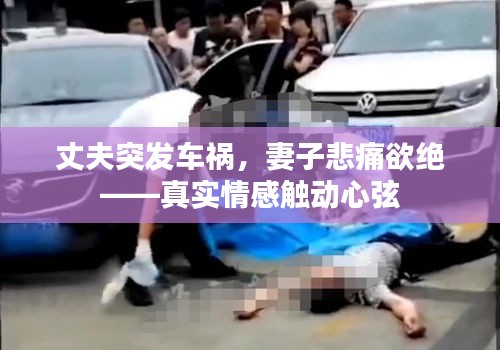 丈夫突發(fā)車禍，妻子悲痛欲絕——真實(shí)情感觸動(dòng)心弦