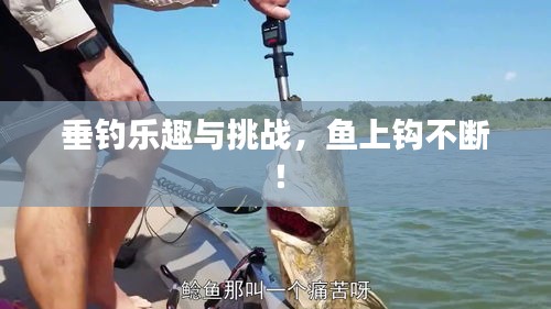 垂釣樂趣與挑戰(zhàn)，魚上鉤不斷！