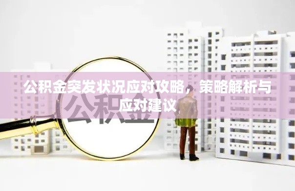 公積金突發(fā)狀況應(yīng)對(duì)攻略，策略解析與應(yīng)對(duì)建議