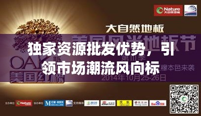 獨(dú)家資源批發(fā)優(yōu)勢(shì)，引領(lǐng)市場(chǎng)潮流風(fēng)向標(biāo)
