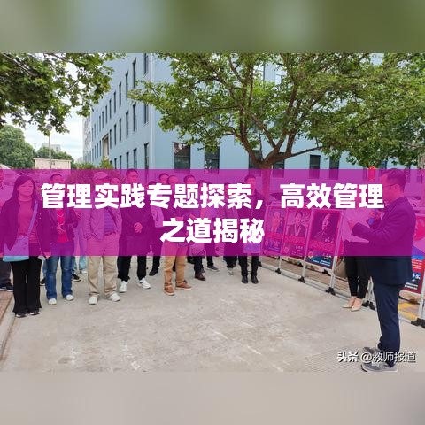 管理實(shí)踐專(zhuān)題探索，高效管理之道揭秘