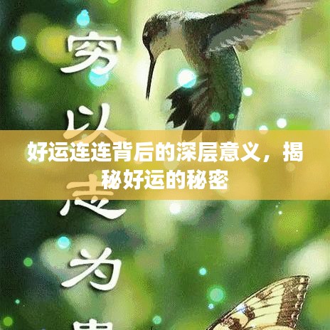 2025年1月 第416頁