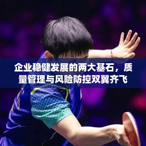 企業(yè)穩(wěn)健發(fā)展的兩大基石，質(zhì)量管理與風(fēng)險(xiǎn)防控雙翼齊飛