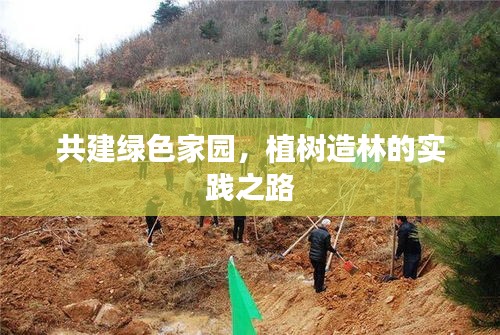 共建綠色家園，植樹造林的實(shí)踐之路