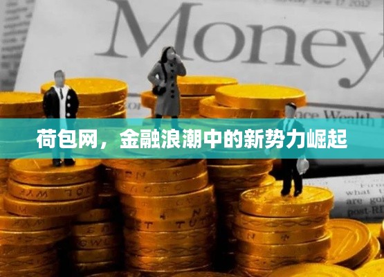 荷包網(wǎng)，金融浪潮中的新勢力崛起
