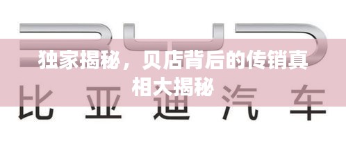 獨(dú)家揭秘，貝店背后的傳銷真相大揭秘
