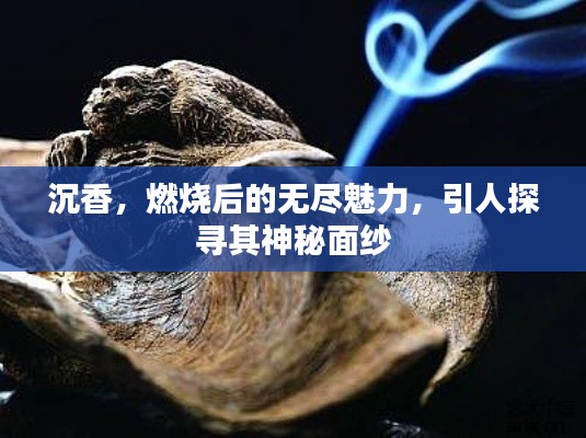 沉香，燃燒后的無(wú)盡魅力，引人探尋其神秘面紗