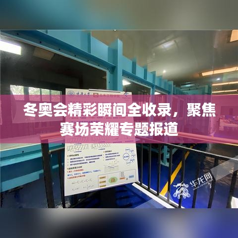 冬奧會(huì)精彩瞬間全收錄，聚焦賽場(chǎng)榮耀專(zhuān)題報(bào)道