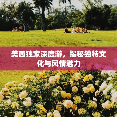 美西獨家深度游，揭秘獨特文化與風(fēng)情魅力