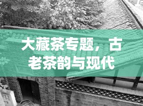 大藏茶專題，古老茶韻與現(xiàn)代風(fēng)情交相輝映
