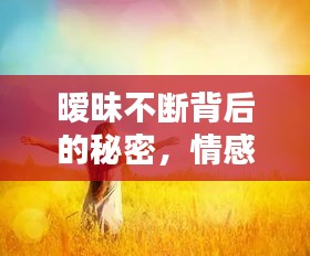 曖昧不斷背后的秘密，情感糾纏引人深思