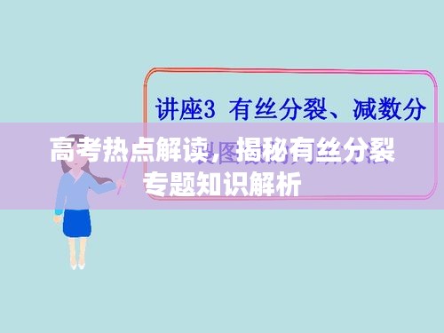 高考熱點(diǎn)解讀，揭秘有絲分裂專題知識(shí)解析