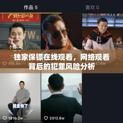 獨(dú)家保鏢在線觀看，網(wǎng)絡(luò)觀看背后的犯罪風(fēng)險分析