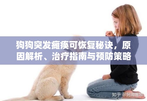 狗狗突發(fā)癱瘓可恢復(fù)秘訣，原因解析、治療指南與預(yù)防策略