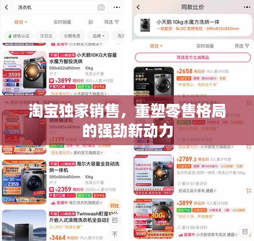 淘寶獨家銷售，重塑零售格局的強勁新動力