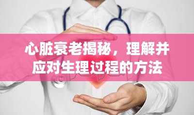 心臟衰老揭秘，理解并應(yīng)對(duì)生理過(guò)程的方法