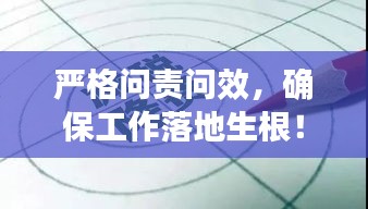 嚴(yán)格問(wèn)責(zé)問(wèn)效，確保工作落地生根！